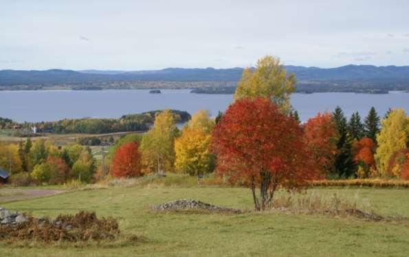 Landskapet i Siljansbygden Siljansbygden är scenisk med sjöar, dalgångar och blånande randberg. Den geologiska och biologiska mångfalden är betydande även i ett internationellt perspektiv.