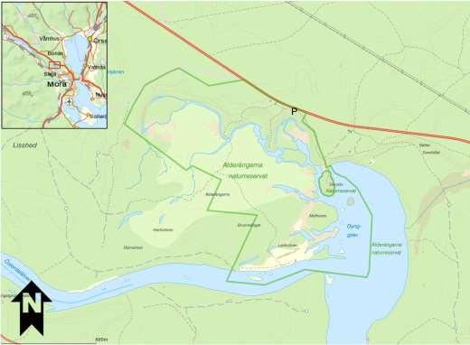 6. Alderängarna Ett omväxlande naturområde vid Österdalälven nordväst om Mora som delvis är ett naturreservat. Utökning planeras.