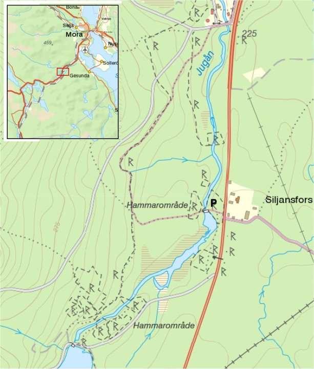 8. Siljansfors Vid Siljansfors finns ett reservat knutet till det lokala skogsmuséet. Barrskog dominerar inklusive en planterad lärkskog.