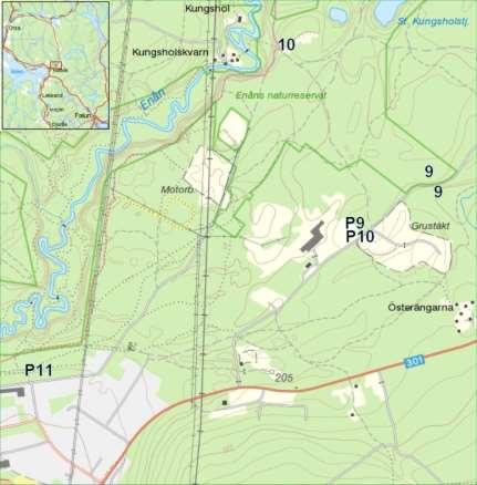 P betyder parkeringsplats: 9. Kalkverket och Gropen (RT90 6754230/1465440) med dominerande tallskog och sällsynta trådskivlingar. 10.