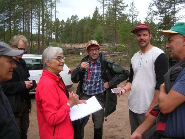 Trattöra Vårtöra Zonticka Sammetsticka Violticka Violtagging Kastanjemusseron Brandmusseron Riddarmusseron Kragmusseron Fläckmusseron Rättikmusseron Jordmusseron Gallmusseron Stubbmusseron