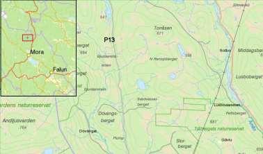 Zonkamskivling Brun kamskivling Brun flugsvamp Mörkringad flugsvamp Lappticka Knölticka Mossnavling Stjärnborstskål Trådticka Liten nagelskivling Gulknölig nagelskivling Skinnticka Rödbandad