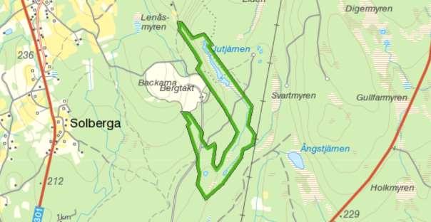 Lökfotad snöbollschampinjon Brödticka Fårticka Röd flugsvamp Mörkringad flugsvamp Rodnande flugsvamp Grå kamskivling Klubbtrattskivling Örtaggsvamp Stensopp Kopparäggsvamp Gullhorn Kantarell