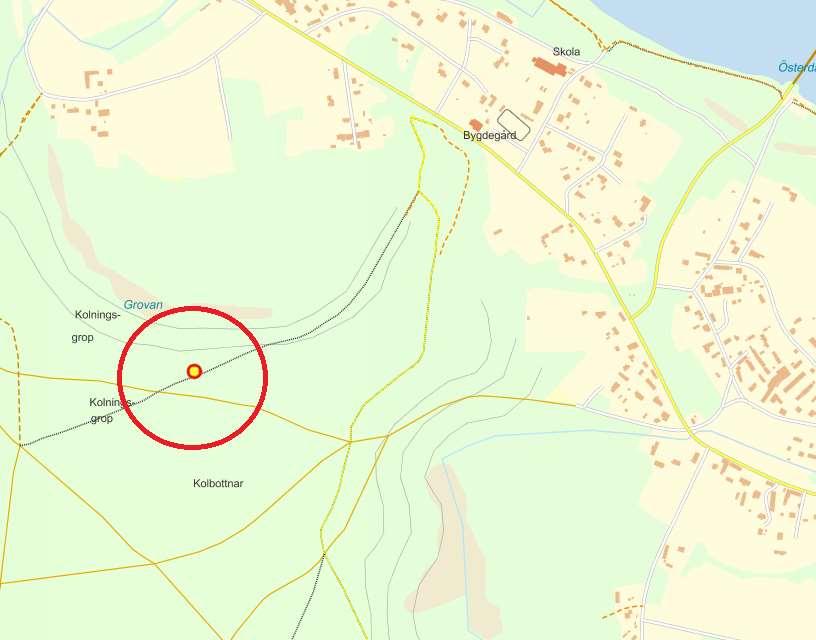 21. Selja-Långlet Sista dagen på Mykologiveckan fick Dan Broström ett tips från Ulf Lindenbaum i Mora efter att han rastat hunden i tallskogen sydväst om bygdegården i Selja-Långlet.
