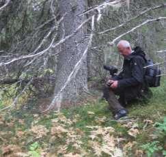 betraktas av Gillis Aronsson.