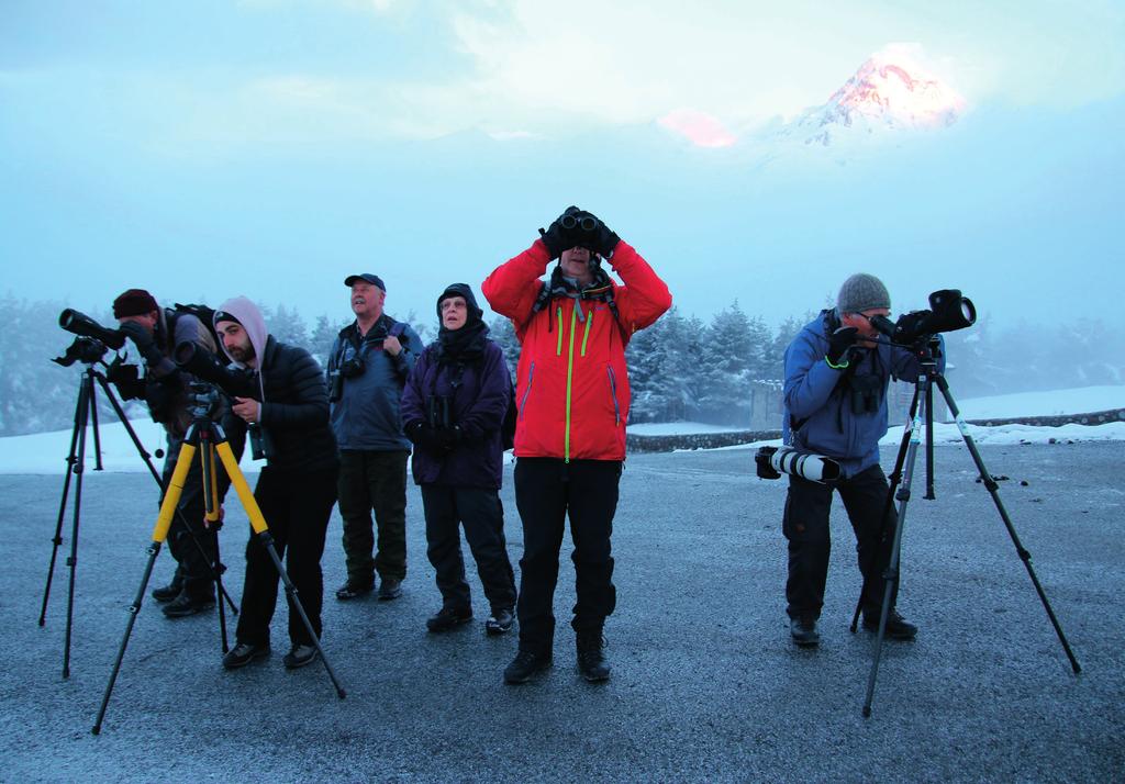 Foto: Alain Melis Researangör: Birdsafari Sweden / Karlmark resor Reseledare: Håkan Johansson Deltagare: Jan Andersson, Lars Sundberg, Leif Lindholm, Alain Melis, Jane Peta Constable Guide: Nika