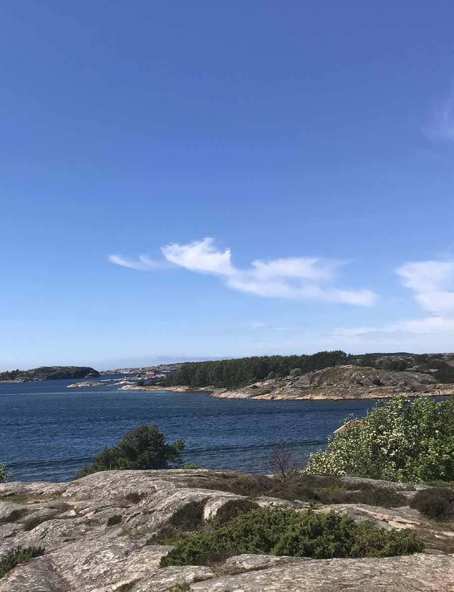 Avsändare: B Barnen Framför Allt Box 10034 434 21 Kungsbacka Sverige Porto betalt Port Payé TACK alla ni som var med och bidrog till att BFA:s 40-års jubileum och sommarträff blev en fantastisk helg