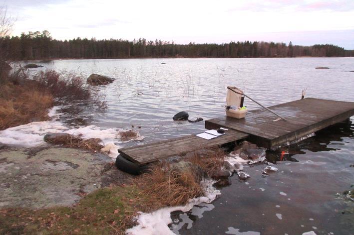 Bottenfauna i Kalmar län 216 Vattensystem: Vattendrag/namn: Provpunktsbeteckning: BOTORPSSTRÖMMEN Anen, Sjöände BF2 Provdatum: Lokaltyp: Sjö 2161129 Naturligt/grävt: naturligt Koordinater x: 64165 y: