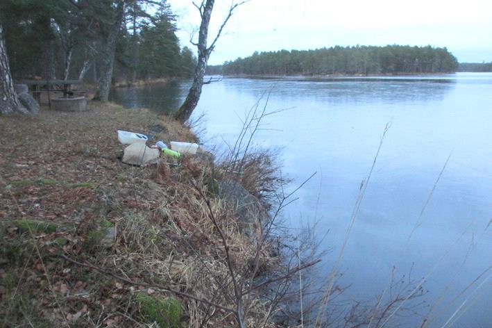 Bottenfauna i Kalmar län 216 Vattensystem: Vattendrag/namn: Provpunktsbeteckning: EMÅN Stora Hammarsjön BF8 Provdatum: Lokaltyp: Sjö 2161129 Naturligt/grävt: naturligt Koordinater x: Läge: vid