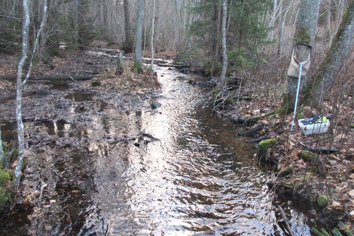 Bottenfauna i Kalmar län 216 Vattensystem: Vattendrag/namn: Provpunktsbeteckning: EMÅN Lillån, Karlsborg BF11 Provdatum: Lokaltyp: Bäck 216113 Naturligt/grävt: naturligt Koordinater x: 635344 y: