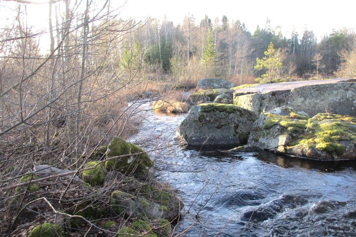 Bottenfauna i Kalmar län 216 Vattensystem: Vattendrag/namn: Provpunktsbeteckning: EMÅN Nötån, Kronobo BF17 Provdatum: Lokaltyp: Å 216113 Naturligt/grävt: naturligt Koordinater x: 634165 y: 149983