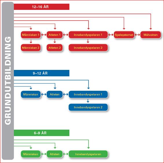 Fördjupningsutbildningar Röd fördjupningsutbildning (12-16 år) På röd nivå, även kallad Träna för att träna, ska utövarna introduceras till förberedande fysisk träning, där byggandet av atleten och