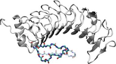 9 HUANG et al.
