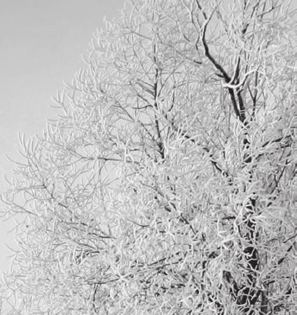 Rebmann, Istock, Getty images - Stylisme : E.