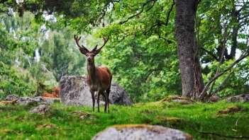 Natur och Nöje 6-7 maj 2017 Följ med ut på en bussfärd fullproppad med intryck och upplevelser!