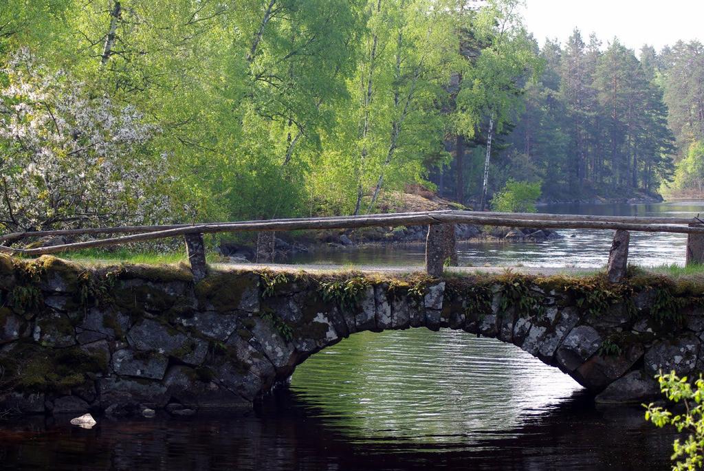 Veckobrev nr 23 (3 juni - 9 juni) 2019 Detta är vårterminens