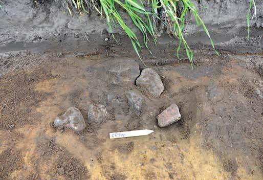 Figur 12. Grav 5, före undersökning. Foto mot väst. Foto: Mats Nilsson. (Fotonr. 2015-46- 11). Figur 13. Mynningsdel från gravkärl i grav 5, HM28821:15. Foto: Anders Andersson. (Fotonr. 2015-46-32).