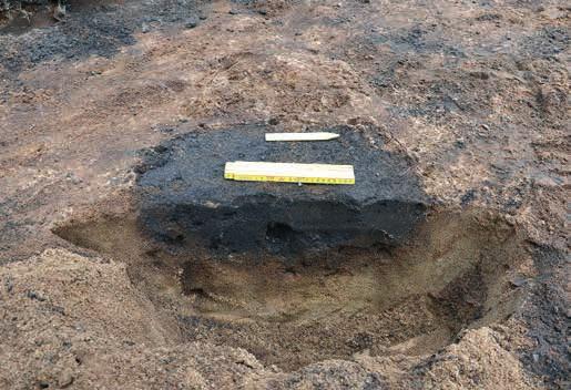 Anläggningar Stolphål Stolphålens storlek varierade i längd mellan 0,16 0,54 m, i bredd mellan 0,14 0,48 m och i djup mellan 0,05 0,17 m.