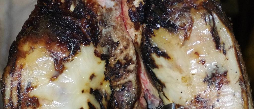 inflammation eller