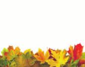 07443/9662-0 Fax 07443/966260 Erleben Sie den farbenprächtigen Herbst... Schwarzwald herzlich, sicher, und einfach gut!!! Wochenpauschale mit Halbpension 7 Übernachtungen mit HP, tägl.