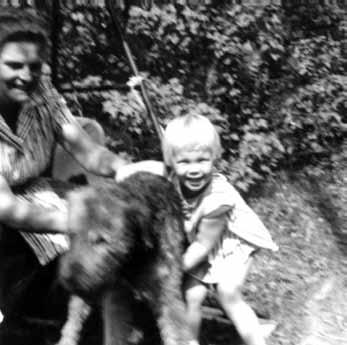 Budkaveln till Kerstin Ekegren: Tjat lönar sig! Att få en egen hund var min högsta önskan sedan jag var en tvärhand hög. Men min mamma var stenhård familjen skulle inte skaffa hund!