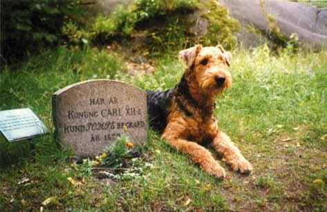 Emil vid graven där Karl XII hund Pompe begravdes 1699. där och då tog tävlingskarriären slut.