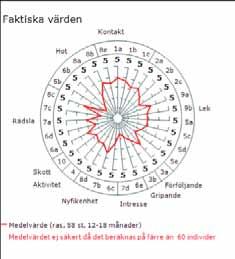MH-diagram HD-statusen på enskilda hundar ska publiceras i AiredaleTerriern samt på hemsidan. Av avelsdjuren har glädjande nog alla sju hanhundarna känd HD-status (två med grad A, fem med grad B).