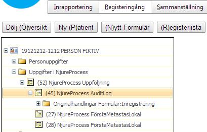 ska registrera information för denna patient i översikten kan du efter du loggat in på INCA gå direkt till
