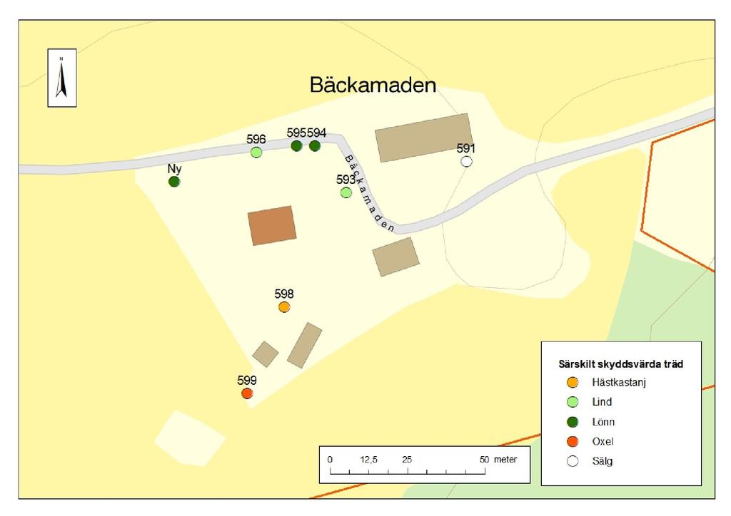 Inom inventeringsområdet finns sedan tidigare tio träd inrapporterade i Trädportalen.