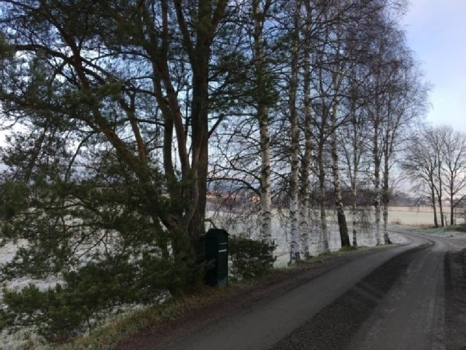 passerat skolområdet löper sedan diket i inventeringsområdets nordvästra gräns.
