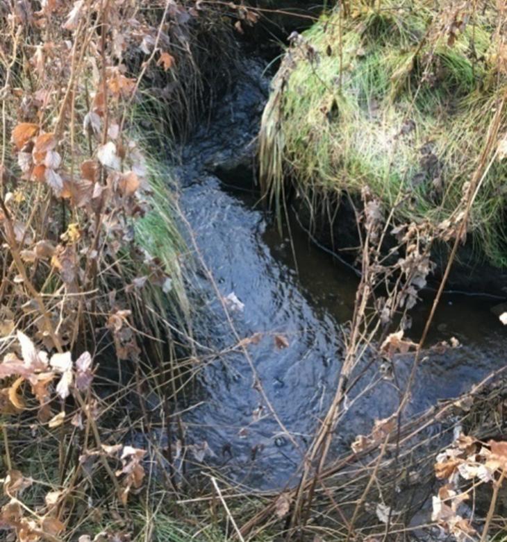 avgränsa ett naturvärdesobjekt vid inventering med detaljeringsgrad Medel. En låg stenmur går längs östra kanten som en förlängning av NVO 2, den är bitvis helt dold av vegetationen.