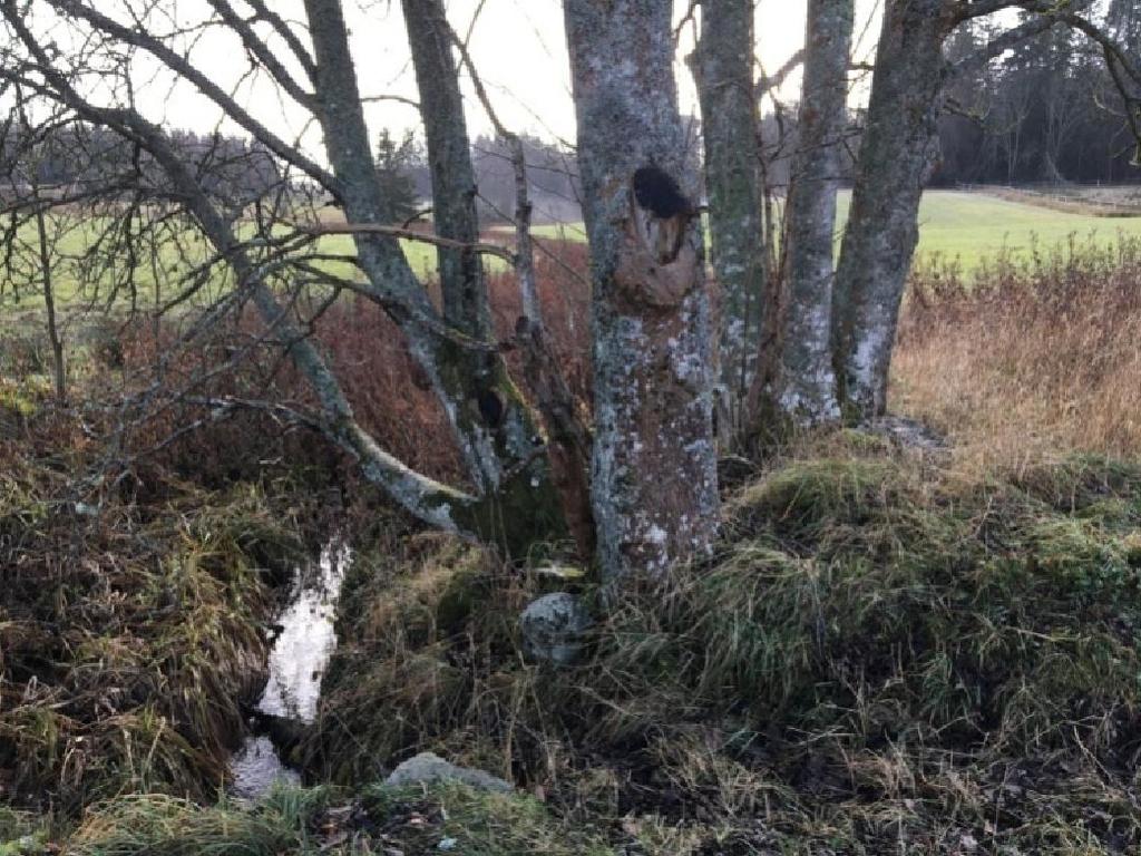 Cirka 50 meter norr om vägen rinner bäcken genom ett betongrör som kanske haft en funktion tidigare men som idag känns mycket omotiverat och borde tas bort.