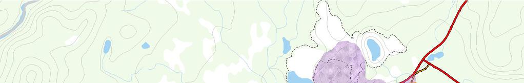I och i anslutning till förstudieområdet finns älg och småvilt. Utter har påträffats i vattendrag kring Svappavaara.