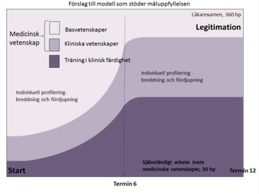 Förstudie Nytt Läkarprogram 10 (32) som utgår från tre pedagogiska perspektiv, dvs.