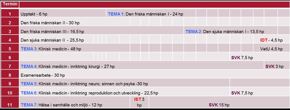 Förstudie Nytt Läkarprogram 7 (32) Det är nu över 10 år sedan LUT-projektet avslutades och tiderna har förändrats.