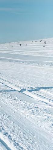 INNEHÅLL 03 DALARNA I SVERIGE 08 DALARNA I VÄRLDEN 12 SVERIGE 16 Sommar 18 Vinter 20 PRIORITERADE UTLANDSMARKNADER 22 Norge 26 Danmark 30 Nederländerna 34 Belgien 38 Tyskland 42 Schweiz 48 Österrike