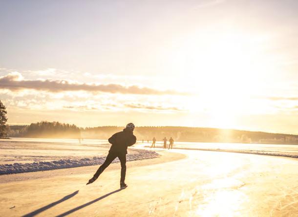Sverige 2018, helår 120 000 Placering Län Antal 100 000 1