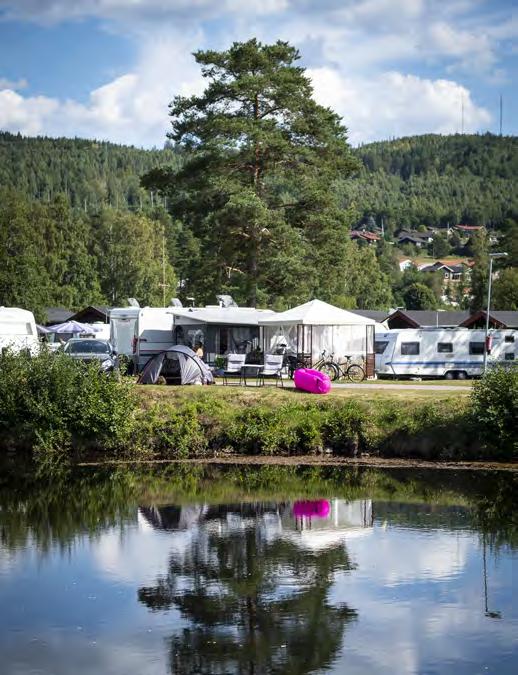 DALARNA 2018 SVERIGE 2018 7% 24% 22% 25% Hotell Stugbyar 58% Vandrarhem Camping 20% 30% 5% 5%