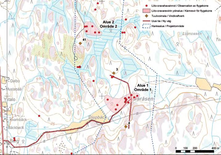 11.7.3.2 Flygekorrar På projektområdet gjordes observationer av flygekorre på flera områden.
