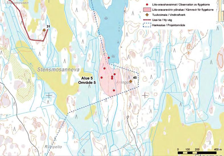 Område 5 I sänkan vid södra ändan av Lilla Sandjärv finns ett granbestånd med inslag av björk och asp. Mängden lövträd är stor, speciellt intill bäcken som rinner ut i sjön.