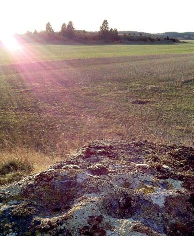 ARKEOLOGGRUPPEN AB, RAPPORT 2014:04 SCHAKTNINGSÖVERVAKNING I FORM AV ARKEOLOGISK FÖRUNDERSÖKNING Schaktningsövervakning i Kuddby invid fornlämningarna