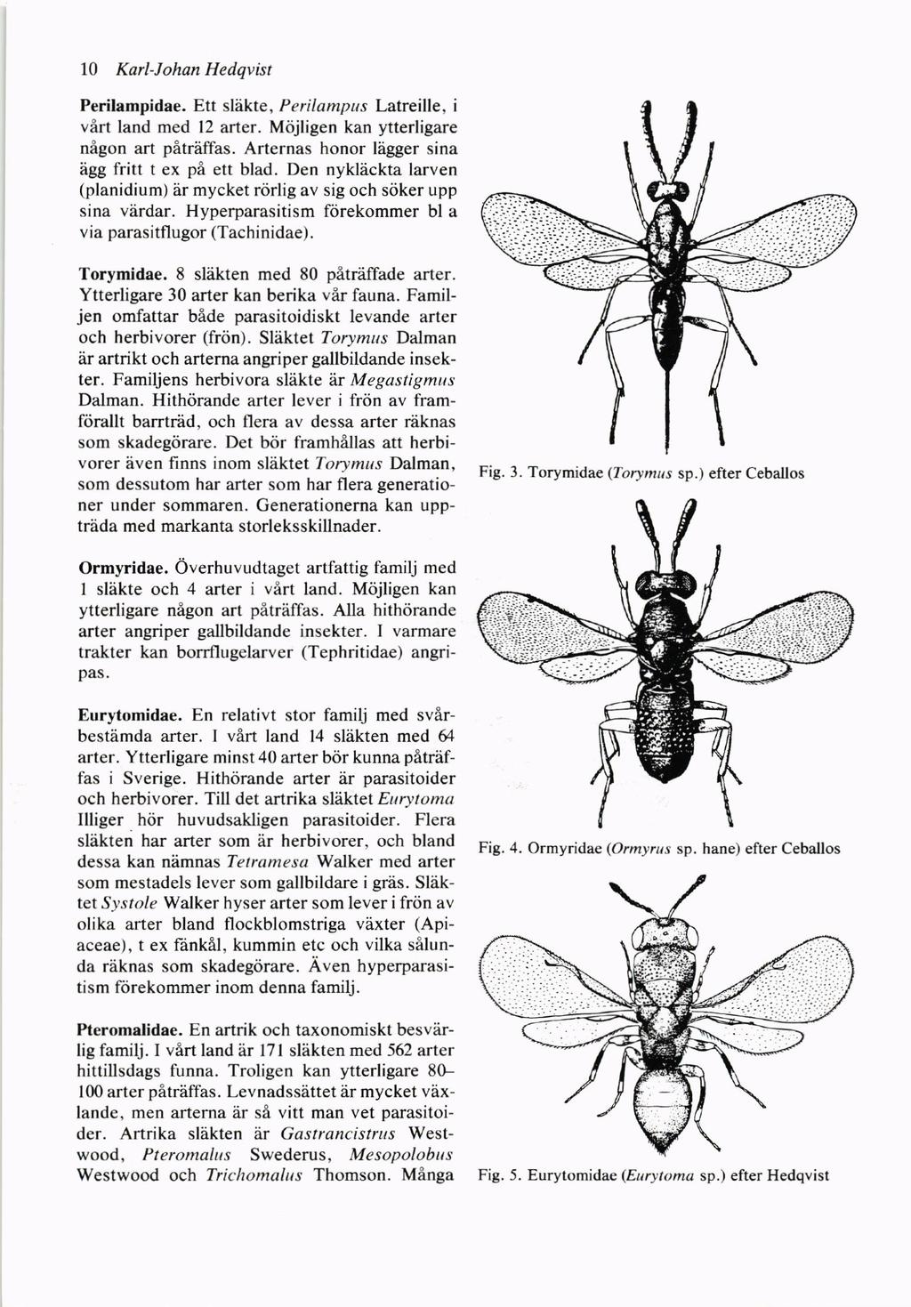 10 Karl-lohan Hedqvist Perilampidae. Ett slekte, Perilampus Latreille, i virt land med l arter. Mrijligen kan ytterligare nigon art petraffas. Arternas honor llgger sina egg fiitl t ex pi ett blad.