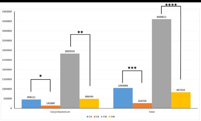 There were significantly fewer bacteria (p <0.001) in CA (10 10 5 ± 7.9 10 5 cfu/ml) than CW (46 10 5 ± 7.9 10 5 cfu/ml colonies), also in SA (2.6 10 5 ± 7.9 10 5 cfu/ml) compared to CA (p <0.001). Furthermore, there were fewer bacteria in SW than in CW (8.