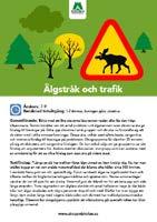 Gruppövningar Gruppövningar Skolskogsryggsäcken innehåller också nio olika övningar som passar att göra med hela klassen.