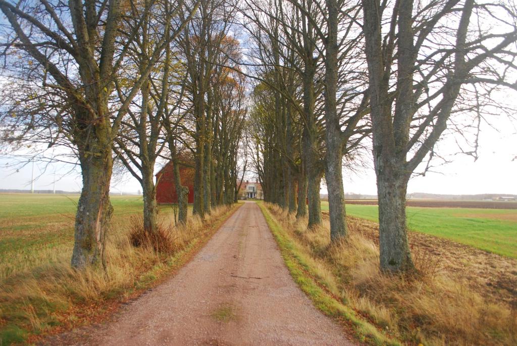 3.5. Vegetation De alléer som finns längs med E20 bevaras, men några träd längs ut kommer att behöva tas ned.