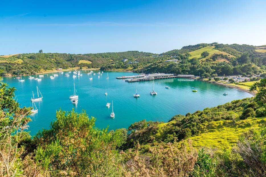 Dag 4 Waiheke Island, Auckland På morgonen går vi till färjeterminalen för att åka färja över den vackra Haruakigolfen till ön Waiheke.
