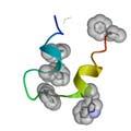 proteinveckning