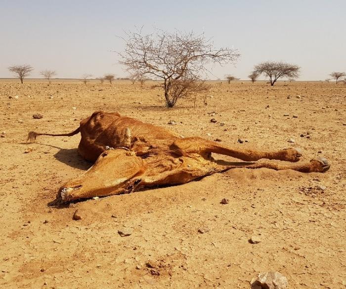 b. Humanitärt arbete Totalt har PMU genomfört 34 nödhjälpsinsatser i 15 länder där drygt 290 000 personer har fått direkt stöd under 2018 med en budget på drygt 35 miljoner kr.