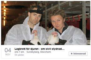 Aktivism allt större