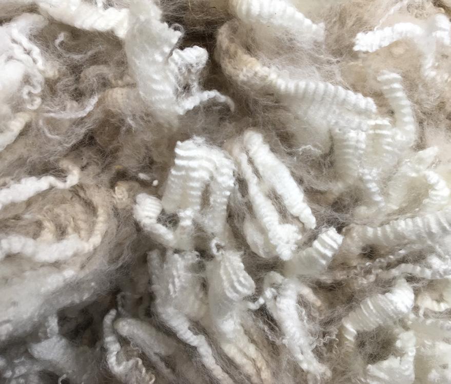 Alpaca & Friends International Fleece Show Skåne Tranås 0th th